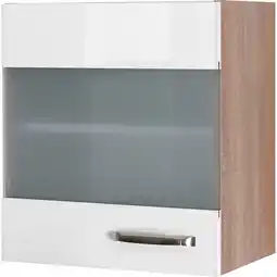 Netto Marken-Discount Flex-Well Glas-Hängeschrank Valero 50 cm Angebot