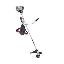 Netto Marken-Discount AL-KO BC 223 B Angebot