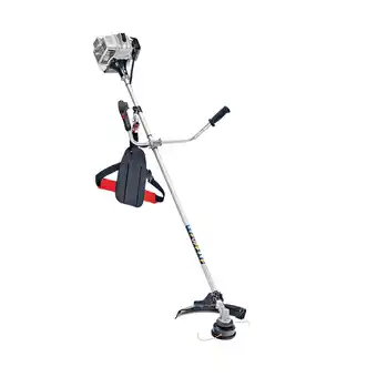 Netto Marken-Discount AL-KO BC 223 B Angebot
