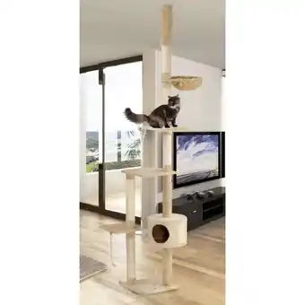 Netto Marken-Discount PETOLINA Kletterbaum Lucy versch. Farben Angebot