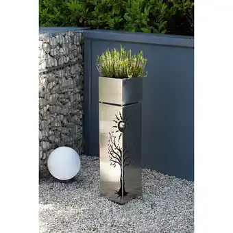 Netto Marken-Discount Pflanzsäule BAUM Angebot
