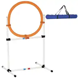 Netto Marken-Discount PawHut Hundetrainingsset PE-Kunststoff Angebot