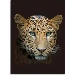 Netto Marken-Discount Kinzler Digitalbedruckte Wohndecke Leopard, 150 x 200 cm Angebot