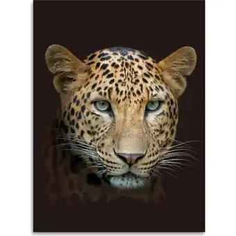 Netto Marken-Discount Kinzler Digitalbedruckte Wohndecke Leopard, 150 x 200 cm Angebot