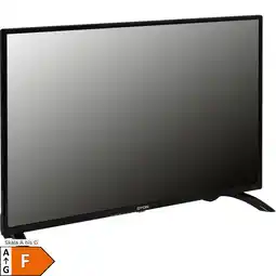 Netto Marken-Discount DYON LED-Fernseher Enter 32 Pro-X2 Angebot