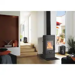 Netto Marken-Discount Wamsler Rocky Kaminofen mit massiven Gusskorpus Angebot