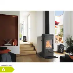 Netto Marken-Discount Wamsler Rocky Kaminofen mit massiven Gusskorpus Angebot