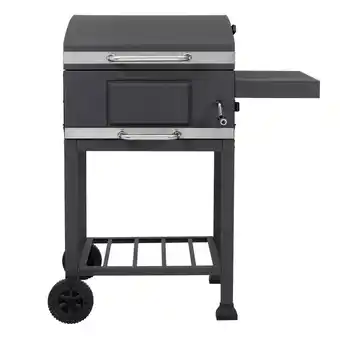 Netto Marken-Discount Tepro Holzkohlegrill Toronto Basic Angebot