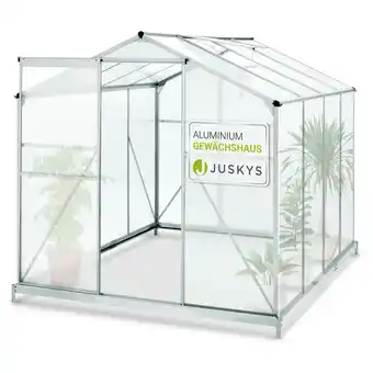 Netto Marken-Discount Juskys Aluminium Gewächshaus mit Fundament für Garten 4,75 qm 190 × 253 cm Angebot