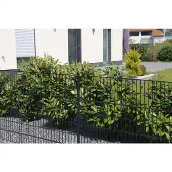 Netto Marken-Discount Home Deluxe Doppelstabmattenzaun anthrazit 2000 mm x 30 m Angebot