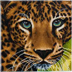 Netto Marken-Discount Crystal Art Leinwand Leopard 30x30 cm Angebot