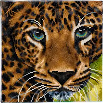 Netto Marken-Discount Crystal Art Leinwand Leopard 30x30 cm Angebot