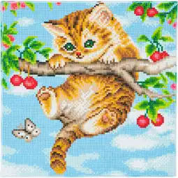 Netto Marken-Discount Crystal Art Leinwand Kätzchen mit Kirschen 30x30 cm Angebot