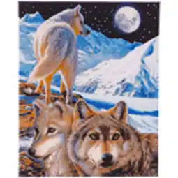 Netto Marken-Discount Crystal Art Leinwand Der Wächter 40x50 cm Angebot