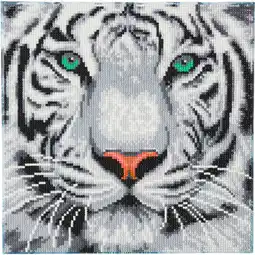 Netto Marken-Discount Crystal Art Schneetiger 30x30 cm Angebot