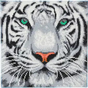 Netto Marken-Discount Crystal Art Schneetiger 30x30 cm Angebot