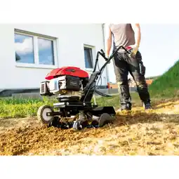 Netto Marken-Discount Scheppach Benzin-Motorhacke MTP 560 Angebot