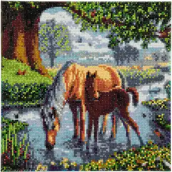 Netto Marken-Discount Crystal Art Leinwand Ponys 30x30 cm Angebot