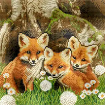 Netto Marken-Discount Crystal Art Fuchswelpen 30x30 cm Angebot