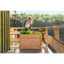 Netto Marken-Discount Westmann Hochbeet Lärche 100, 100x65x66 cm Angebot