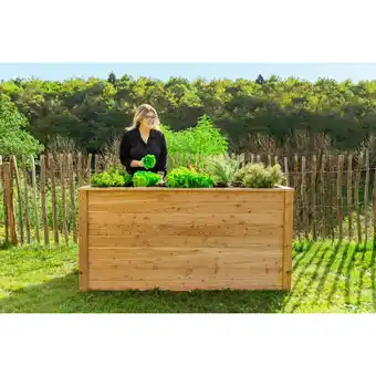 Netto Marken-Discount Westmann Hochbeet Lärche 170, 170x90x84 cm Angebot