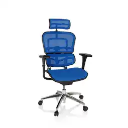 Netto Marken-Discount hjh OFFICE Luxus Chefsessel ERGOHUMAN EDITION Netzstoff mit Armlehnen (höhenverstellbar) Angebot