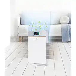 Netto Marken-Discount MAXXMEE Luftreiniger Digital 50W weiß/silber Angebot