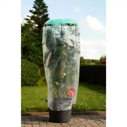 Netto Marken-Discount Pflanzhilfe Tomatenhut 3er Set mit Schutzfolie Angebot