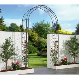 Netto Marken-Discount Garden Pleasure Rosenbogen Mira Angebot