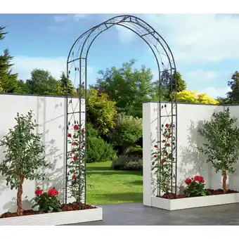 Netto Marken-Discount Garden Pleasure Rosenbogen Mira Angebot