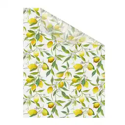 Netto Marken-Discount Lichtblick Fensterfolie selbstklebend, Sichtschutz, Limone - Gelb Grün Angebot