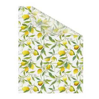 Netto Marken-Discount Lichtblick Fensterfolie selbstklebend, Sichtschutz, Limone - Gelb Grün Angebot