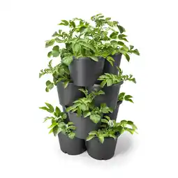 Netto Marken-Discount Säulentopf Pflanzturm Kräuter Topf Kartoffelturm Pflanzsäule Blumen Blumenampel Angebot