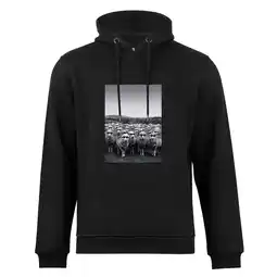 Netto Marken-Discount Cotton Prime Kapuzensweatshirt Schafe mit Sonnenbrille Angebot