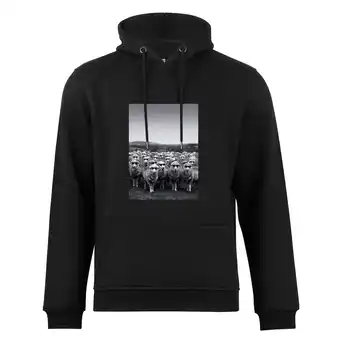 Netto Marken-Discount Cotton Prime Kapuzensweatshirt Schafe mit Sonnenbrille Angebot