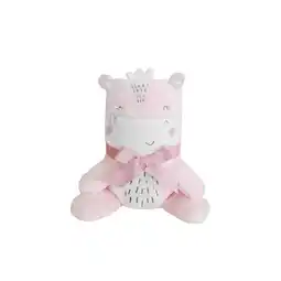 Netto Marken-Discount Kikkaboo Babydecke Fleece 3D Tierstickerei, Größe 100 x 75 cm, Kuscheltier pink Angebot