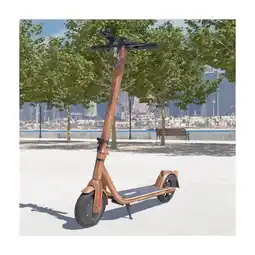 Netto Marken-Discount Viron E-Scooter XI-700-S versch. Ausführungen Holzoptik mit Straßenzulassung Angebot