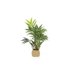 Netto Marken-Discount hjh OFFICE Kunstpflanze CHAMAEDOREA Kunststoff, Stoff Angebot