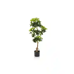Netto Marken-Discount hjh OFFICE Kunstpflanze SCHEFFLERA Kunststoff, Stoff Angebot