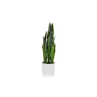Netto Marken-Discount hjh OFFICE Kunstpflanze SANSEVIERIA Kunststoff, Stoff Angebot