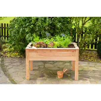Netto Marken-Discount Westmann Holz Hochbeet Stelzenhochbeet natur 120x65x75 cm Angebot