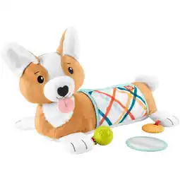 Netto Marken-Discount Fisher-Price Kuscheltier 3-in-1 Hündchen Spielkissen für Bauchlage mit 3 Spielzeugen Angebot