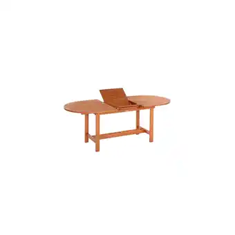 Netto Marken-Discount Merxx Ausziehtisch oval 160 (210) x 90 cm Angebot