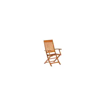 Netto Marken-Discount Merxx Comodoro Klappsessel Angebot