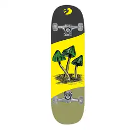 Netto Marken-Discount Best Sporting Skateboard Arts, Mushrooms Angebot