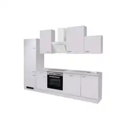 Netto Marken-Discount Flex-Well Küchenzeile 280cm - mit E-Geräte - G-280-2301-059-WITO Angebot