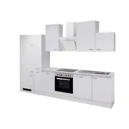 Netto Marken-Discount Flex-Well Küchenzeile 310cm -mit E-Geräte - G-310-2601-059-WITO Angebot