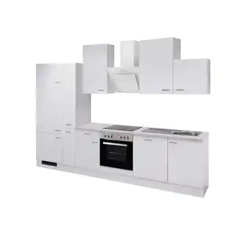 Netto Marken-Discount Flex-Well Küchenzeile 310cm -mit E-Geräte - G-310-2601-059-WITO Angebot
