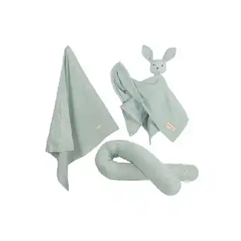 Netto Marken-Discount roba Organic Geschenkset 'Lil Planet' frosty green, Bio-Bettschlange, -Decke & -Schmusetuch Angebot