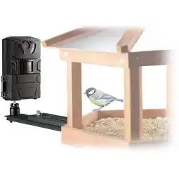 Netto Marken-Discount BRESSER Vogel-/Kleintier-Kamera SFC-1 Angebot
